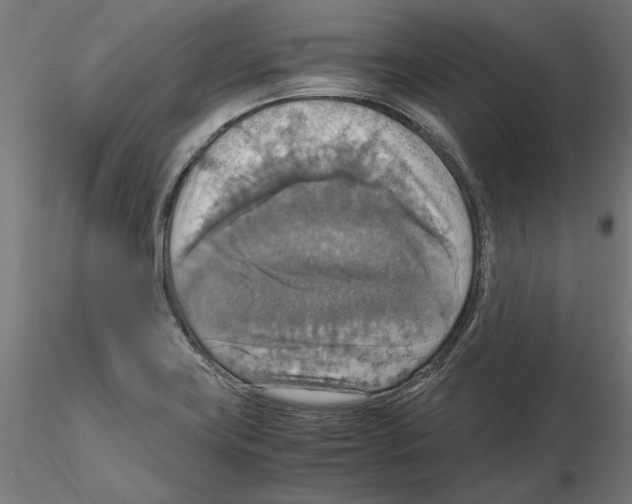 X0000115181419200912091036