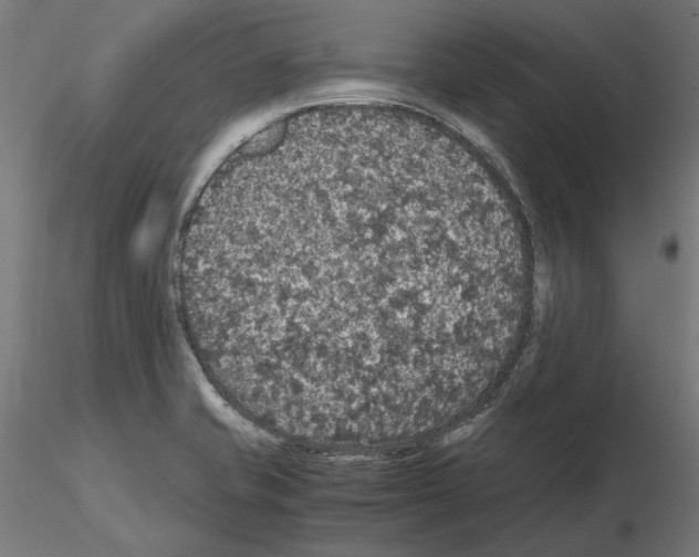 X0000115181421200912091036