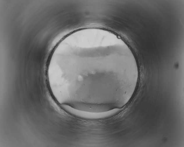 X0000115181422200912091036