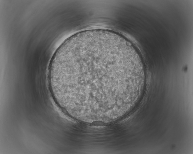 X0000115181423200912091036