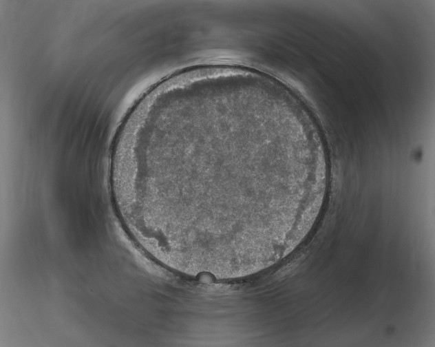 X0000115181424200912091036