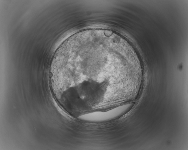 X0000115181425200912091036