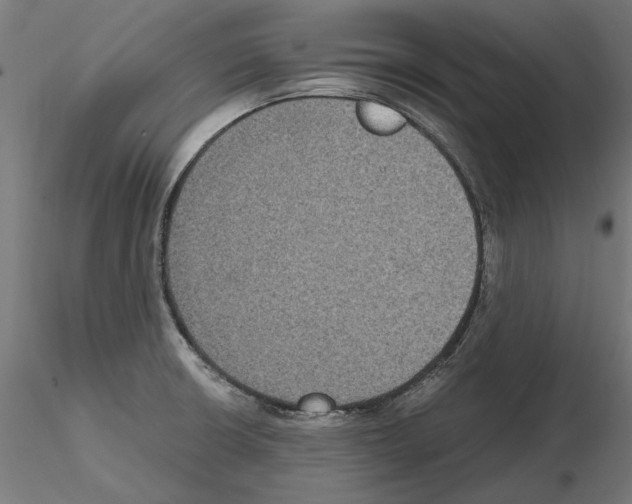 X0000115181426200912091036