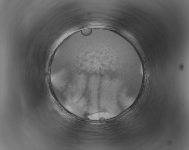 X0000115181427200912091036