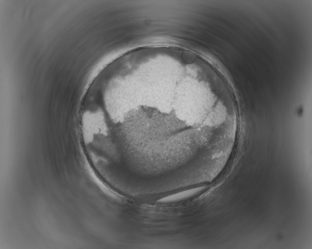 X0000115181429200912091036