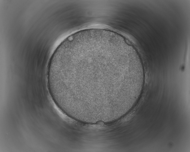 X0000115181430200912091036