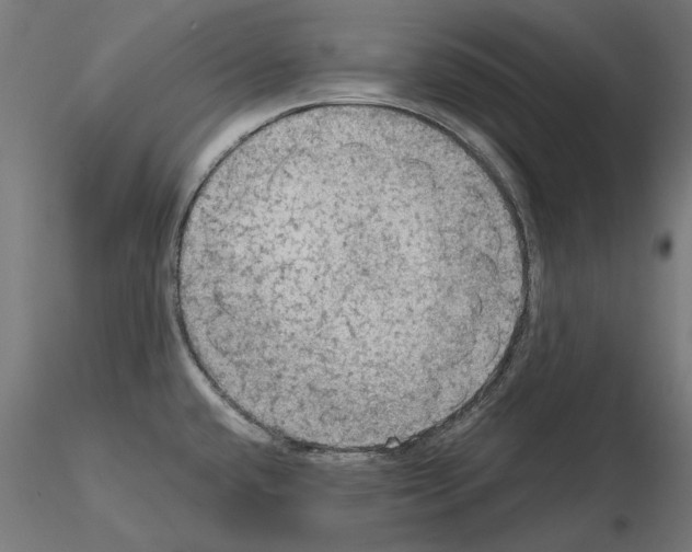 X0000115181432200912091036