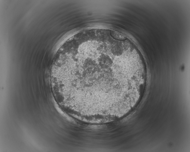 X0000115181433200912091036