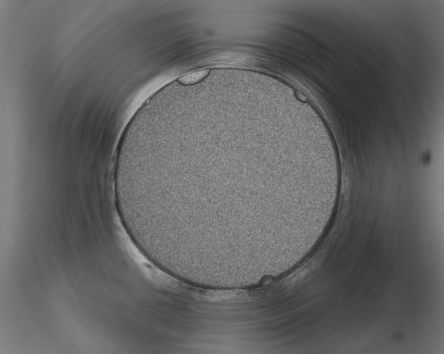 X0000115181434200912091036