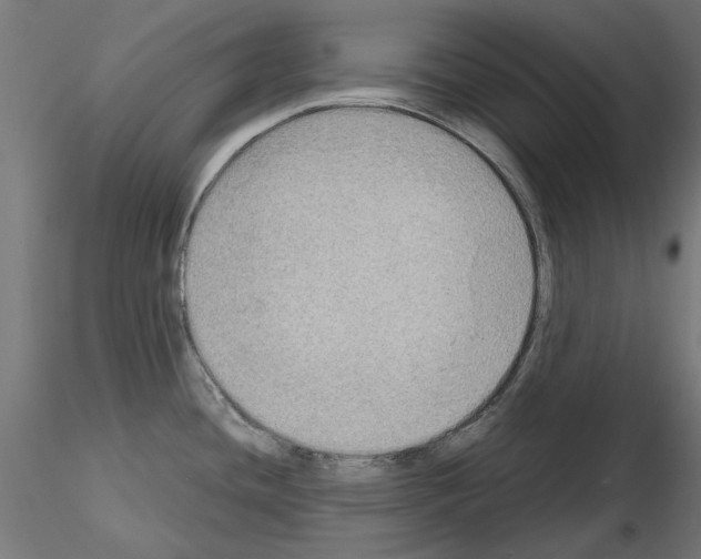 X0000115181436200912091036