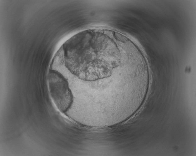 X0000115181440200912091036