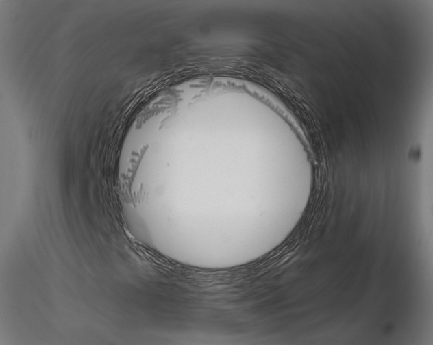 X0000115181441200912091036