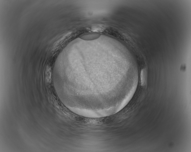 X0000115181443200912091036