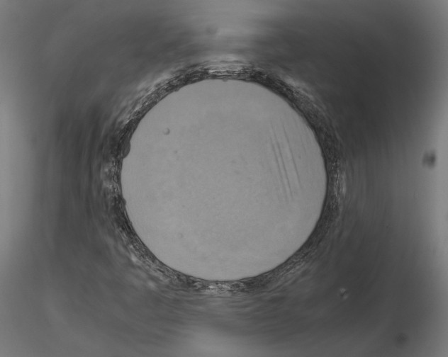 X0000115181445200912091036