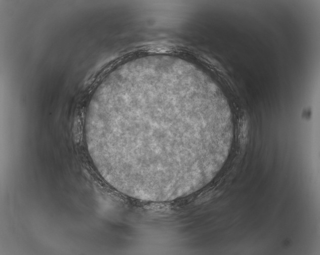 X0000115181446200912091036