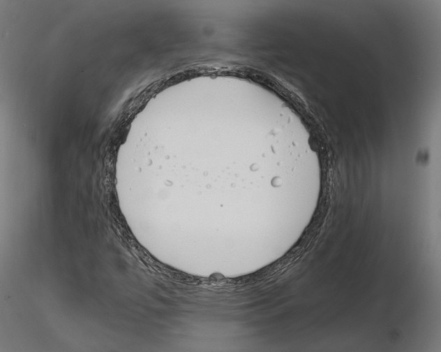 X0000115181447200912091036