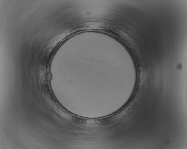 X0000115181449200912091036