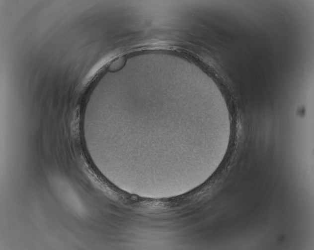 X0000115181450200912091036