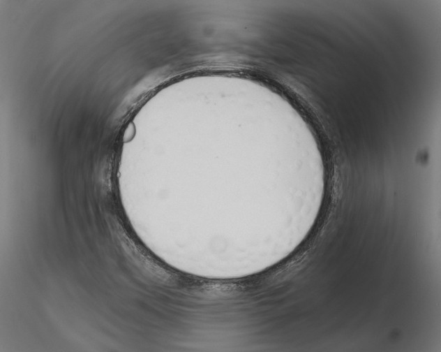 X0000115181451200912091036