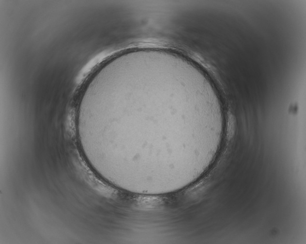 X0000115181454200912091035