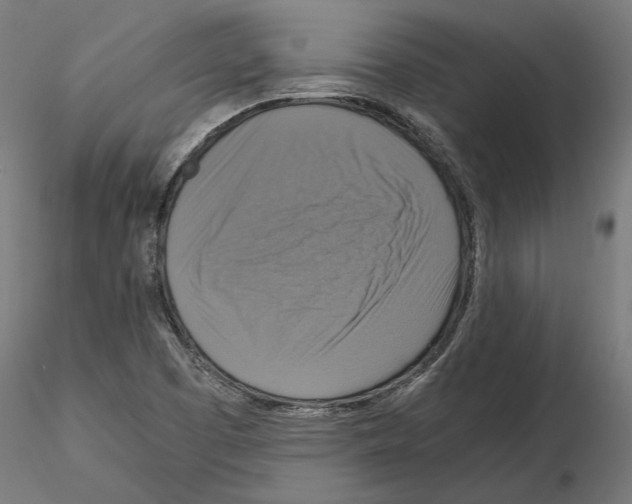 X0000115181457200912091035