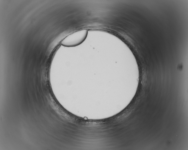X0000115181458200912091035