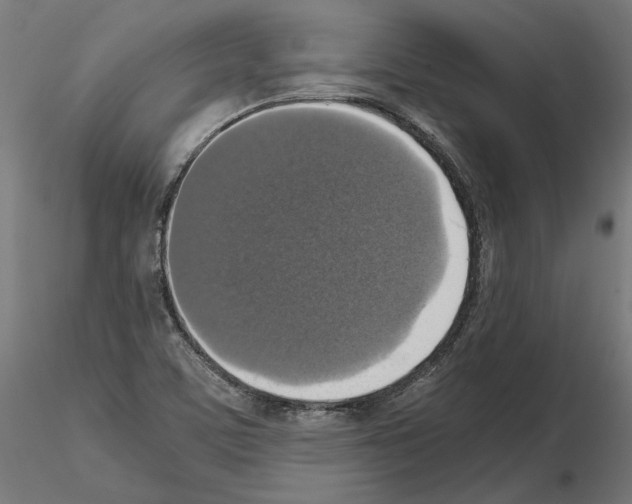 X0000115181459200912091035