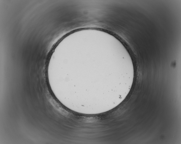X0000115181460200912091035