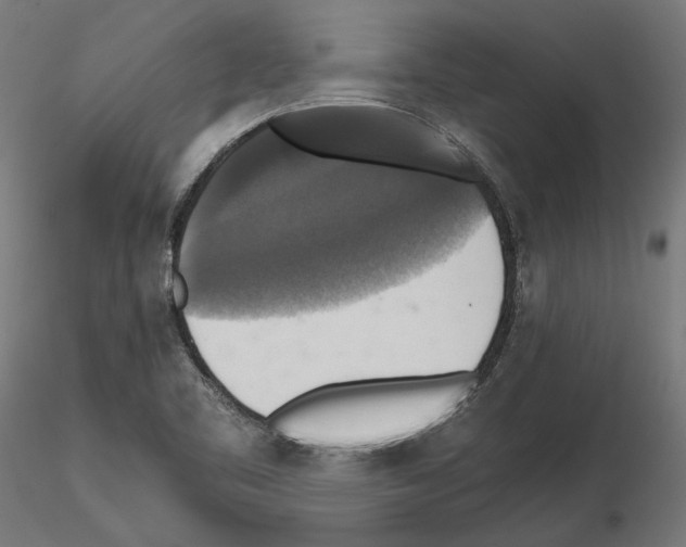 X0000115181461200912091035