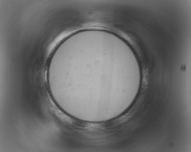 X0000115181462200912091035