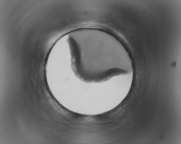 X0000115181463200912091035