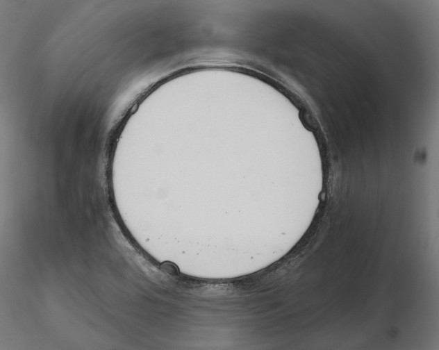 X0000115181464200912091035