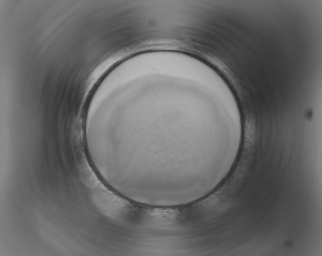 X0000115181466200912091035