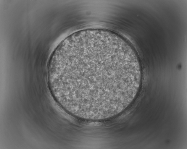 X0000115181467200912091035