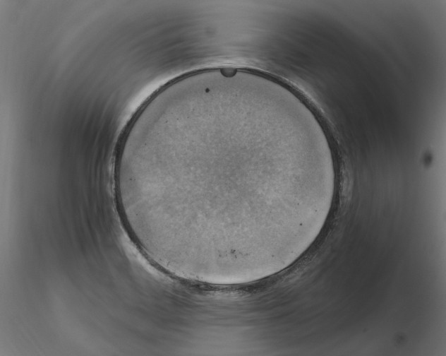 X0000115181468200912091035