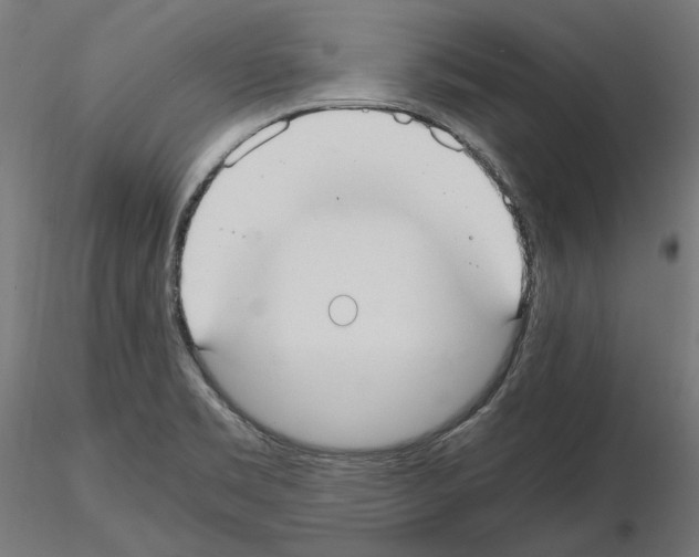 X0000115181469200912091035