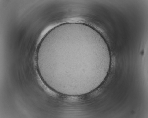 X0000115181470200912091035