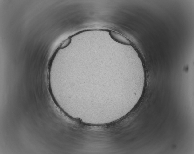 X0000115181472200912091035