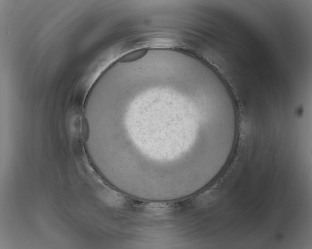 X0000115181473200912091035