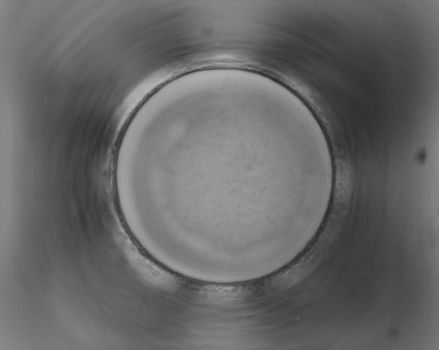 X0000115181474200912091035