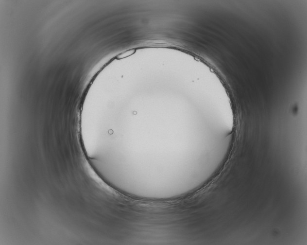 X0000115181476200912091035