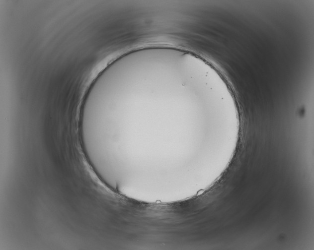 X0000115181477200912091035
