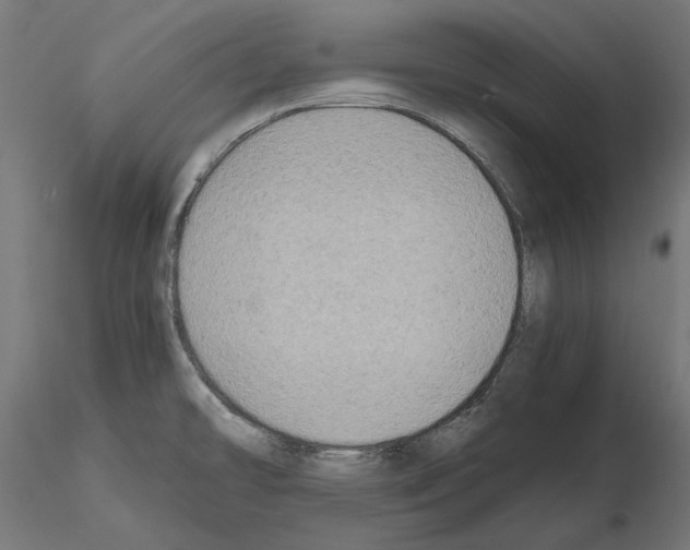 X0000115181478200912091035
