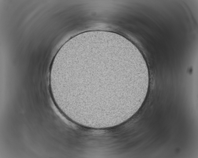 X0000115181479200912091035