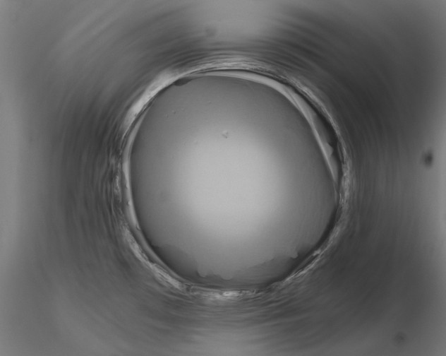 X0000115181481200912091035