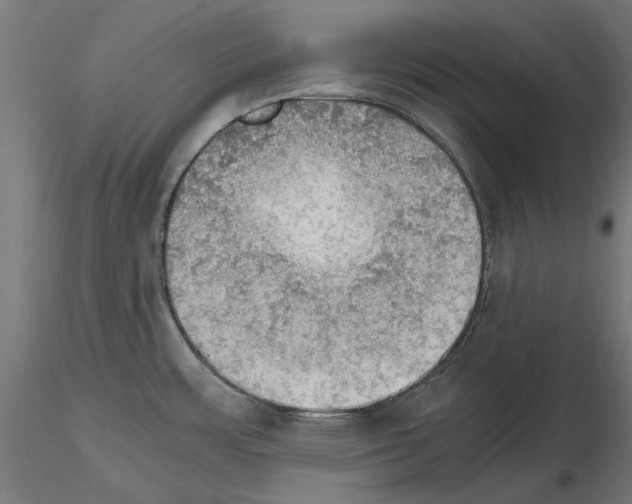 X0000115181483200912091035