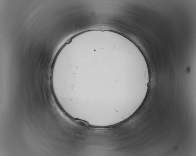 X0000115181484200912091035