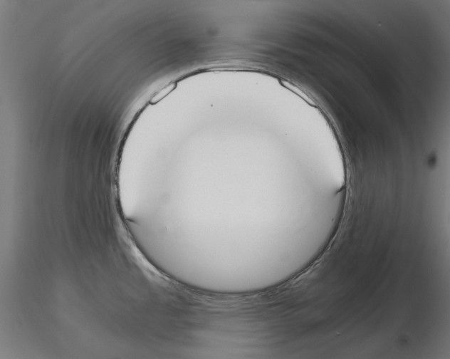 X0000115181485200912091035