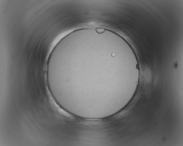 X0000115181486200912091035