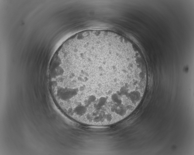 X0000115181487200912091035